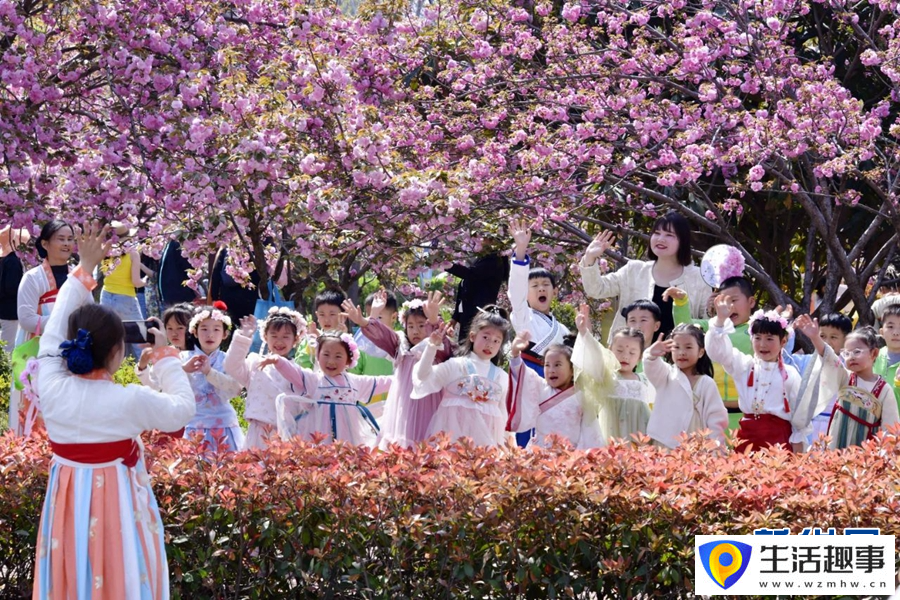 櫻花四月“鬧”鶴壁